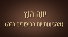 יונה הנץ - ישראל אלדד