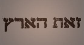 זאת הארץ - מאמרים - ישראל אלדד